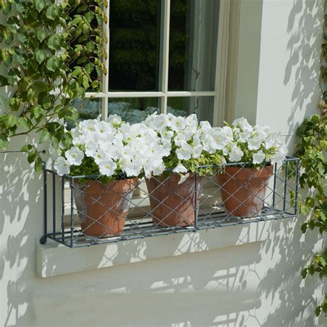 window box metal cage pinterest|17 Metal window boxes ideas .